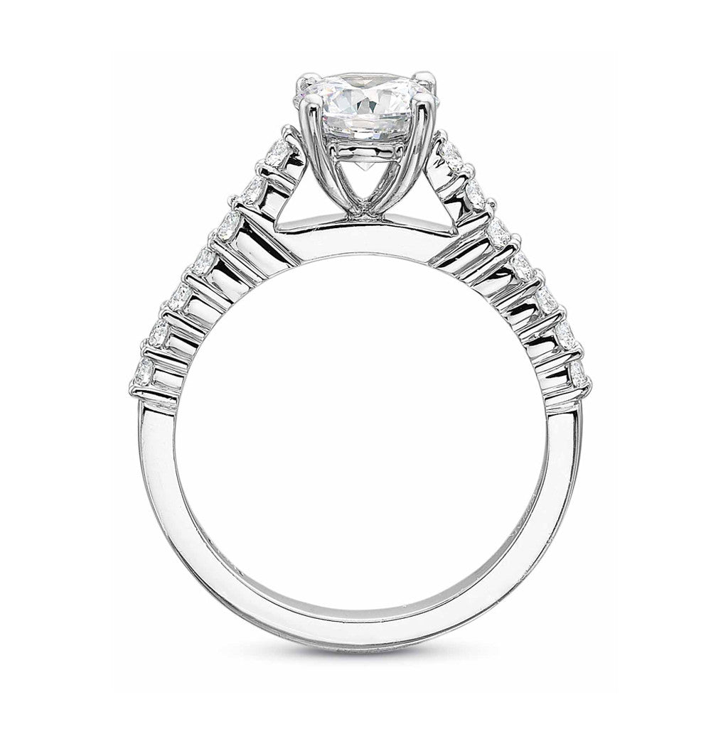 Catherdral Solitaire Engagement Ring